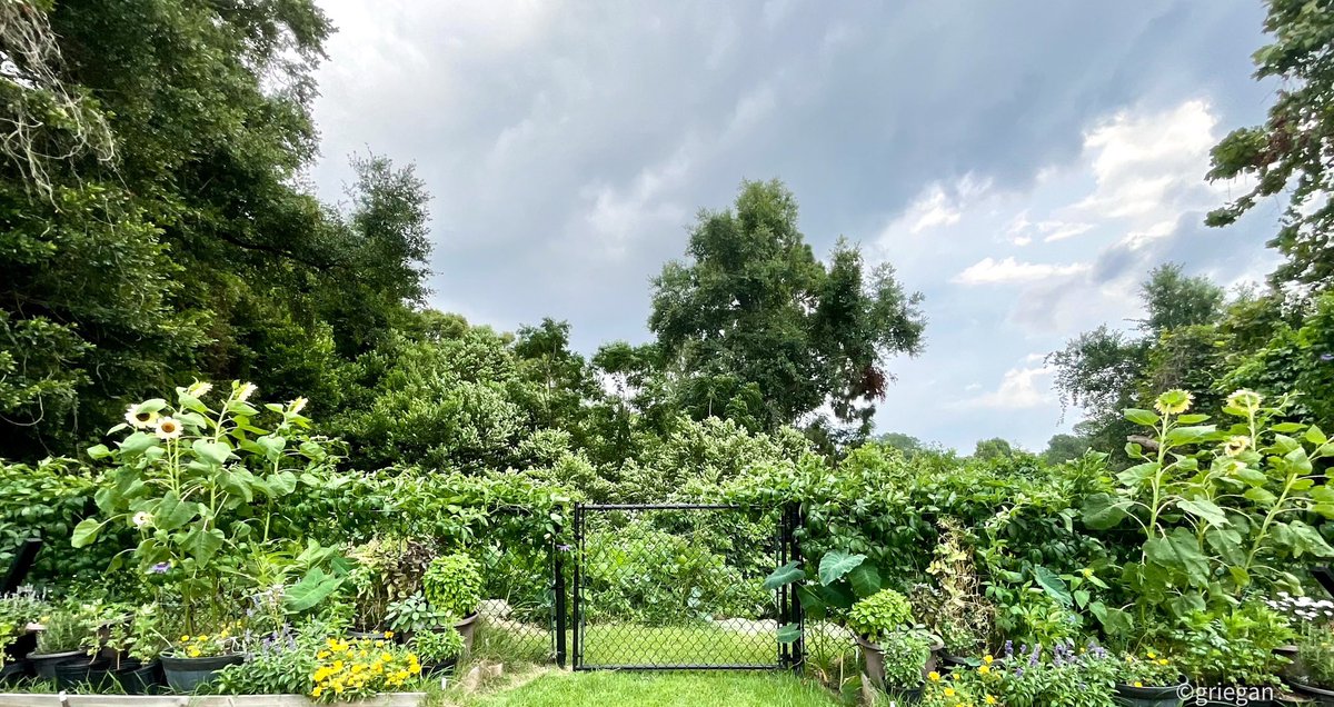 Grian Egan tweet media