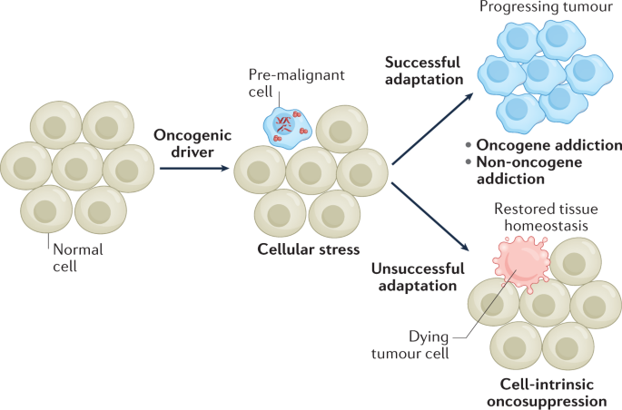 Rafael Sirera tweet media