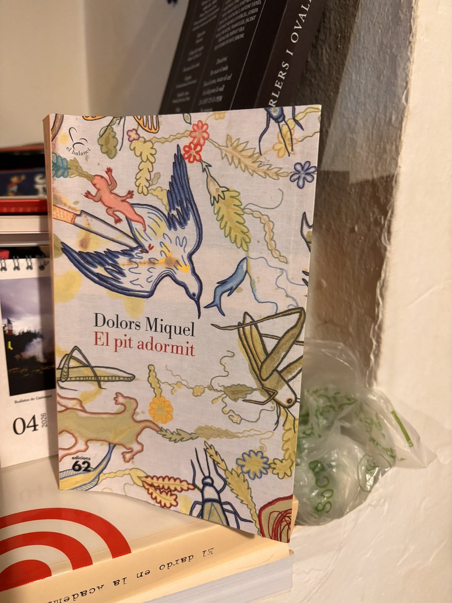 Adrià Pujol Cruells tweet media