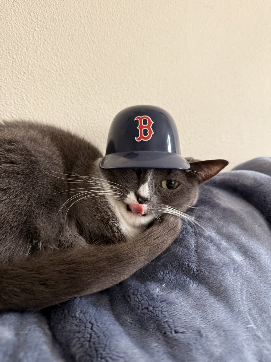 christine 🌿 tweet media