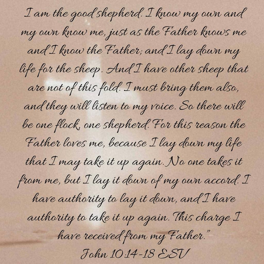 Debbie (@debbiescanticle) on Twitter photo 