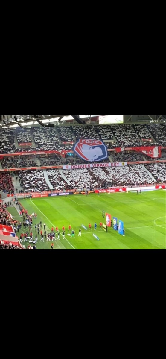 vkg 🔴🟡 tweet media