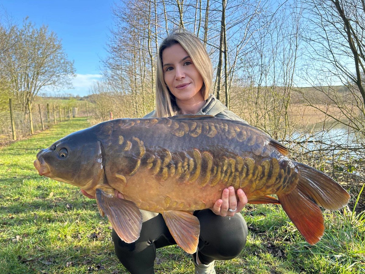 Mainline Baits Official tweet media