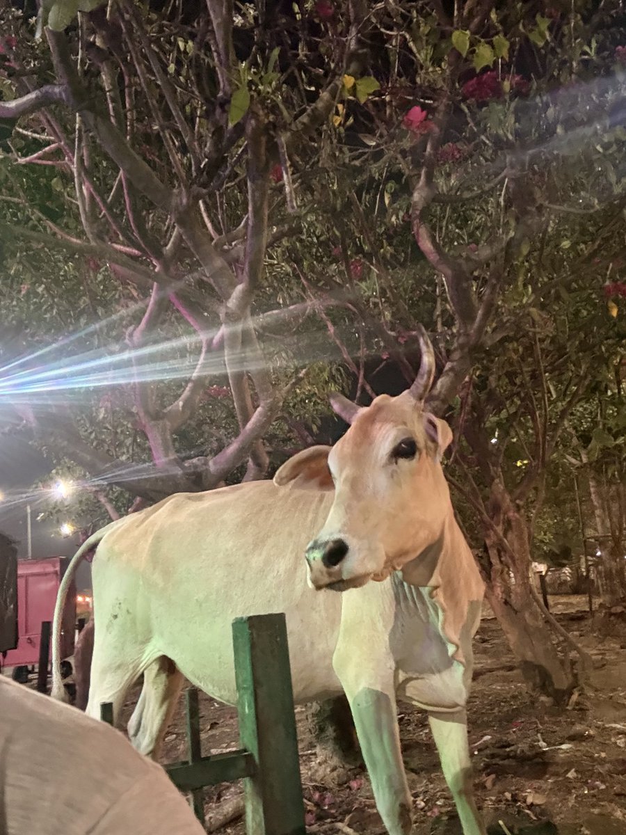 M S Kamat tweet media