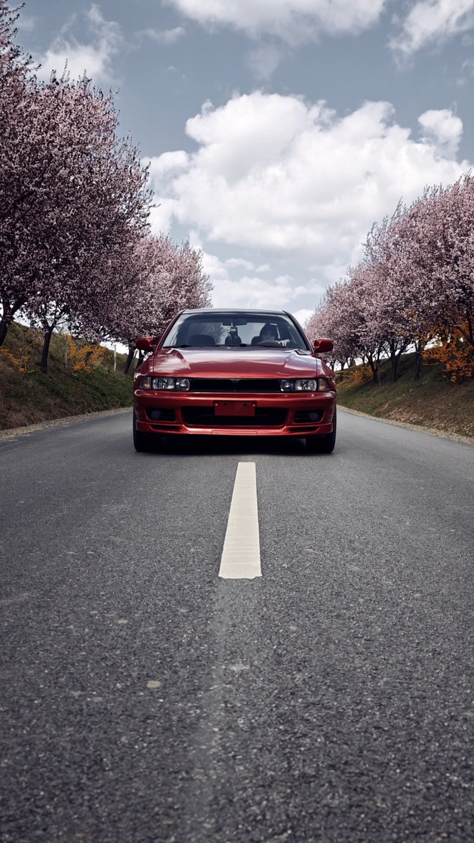 Visited some pretty place today with Sharky ✨🌸