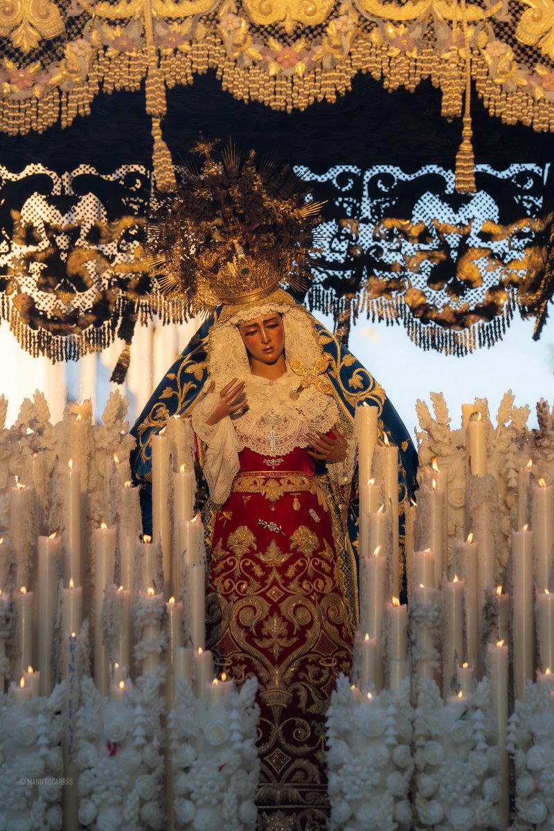 Señor Palma tweet media