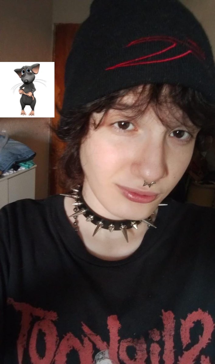 bruno 🏳️⚧️ tweet media