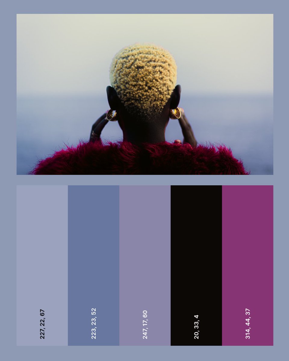 Apah Benson 🥷 🦢 tweet media