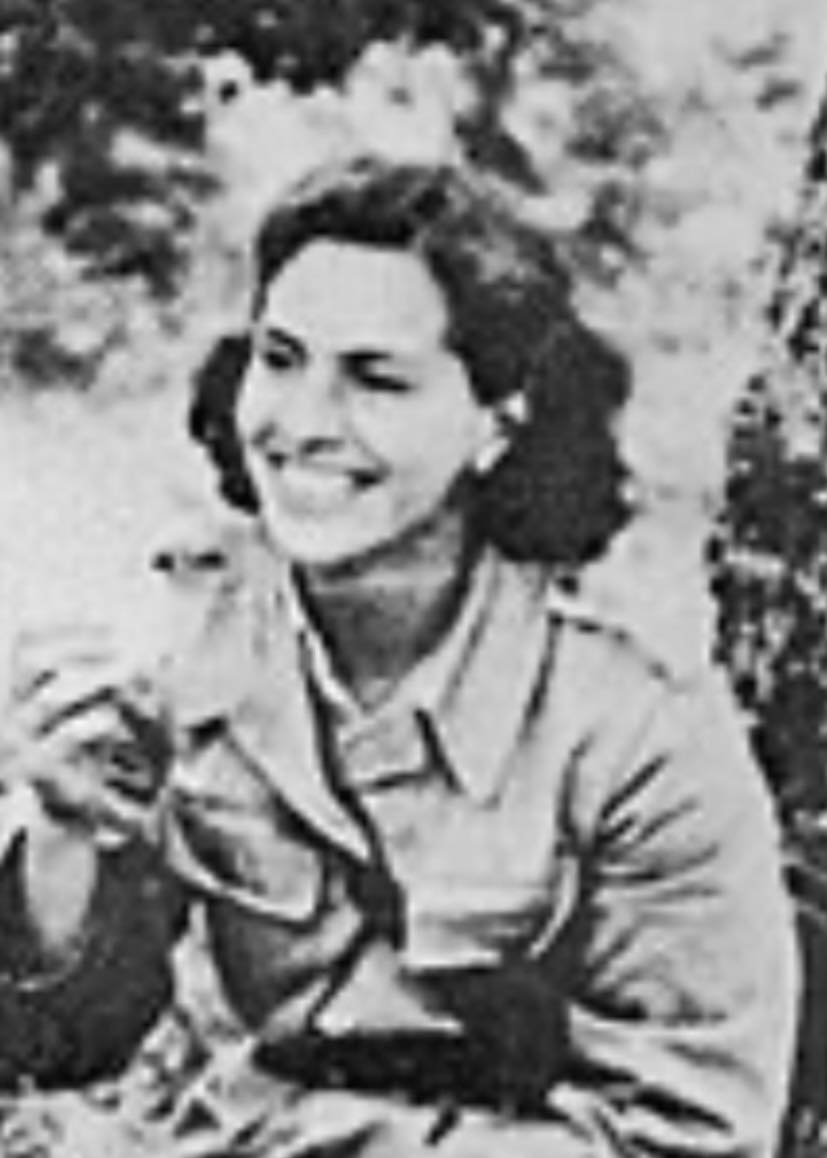 Dejan M. tweet media