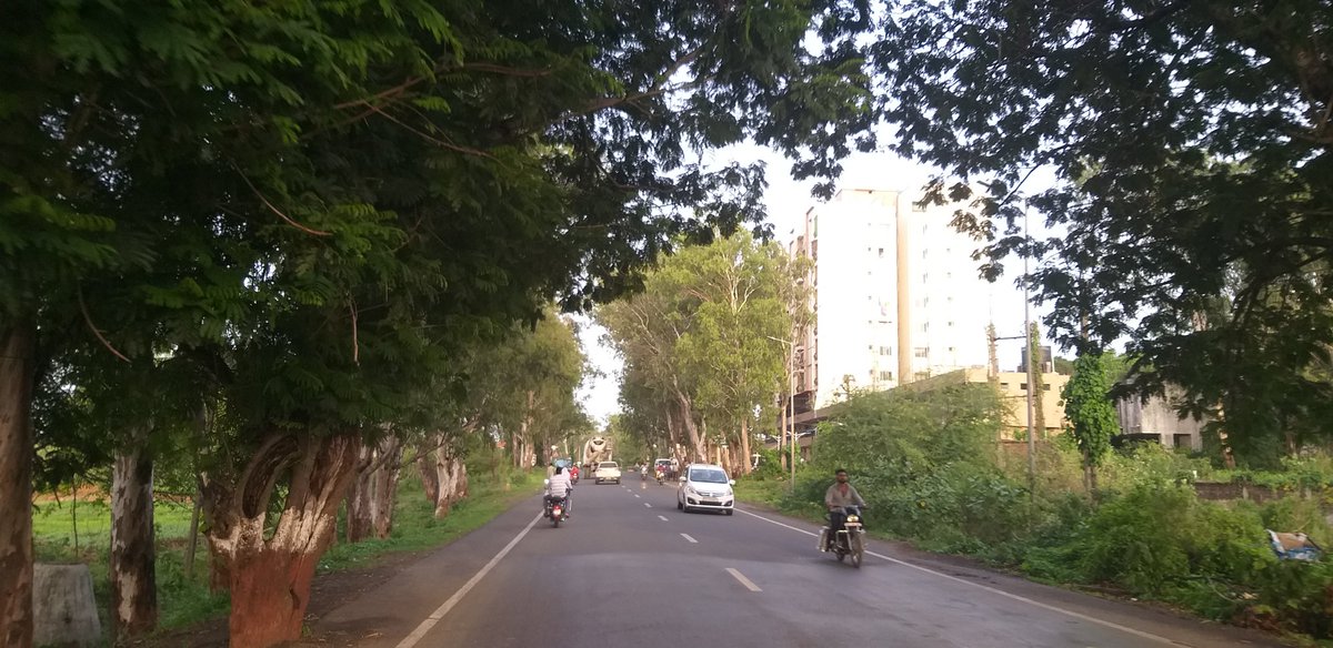 Ichigo A Panchal 👁⃤ tweet media