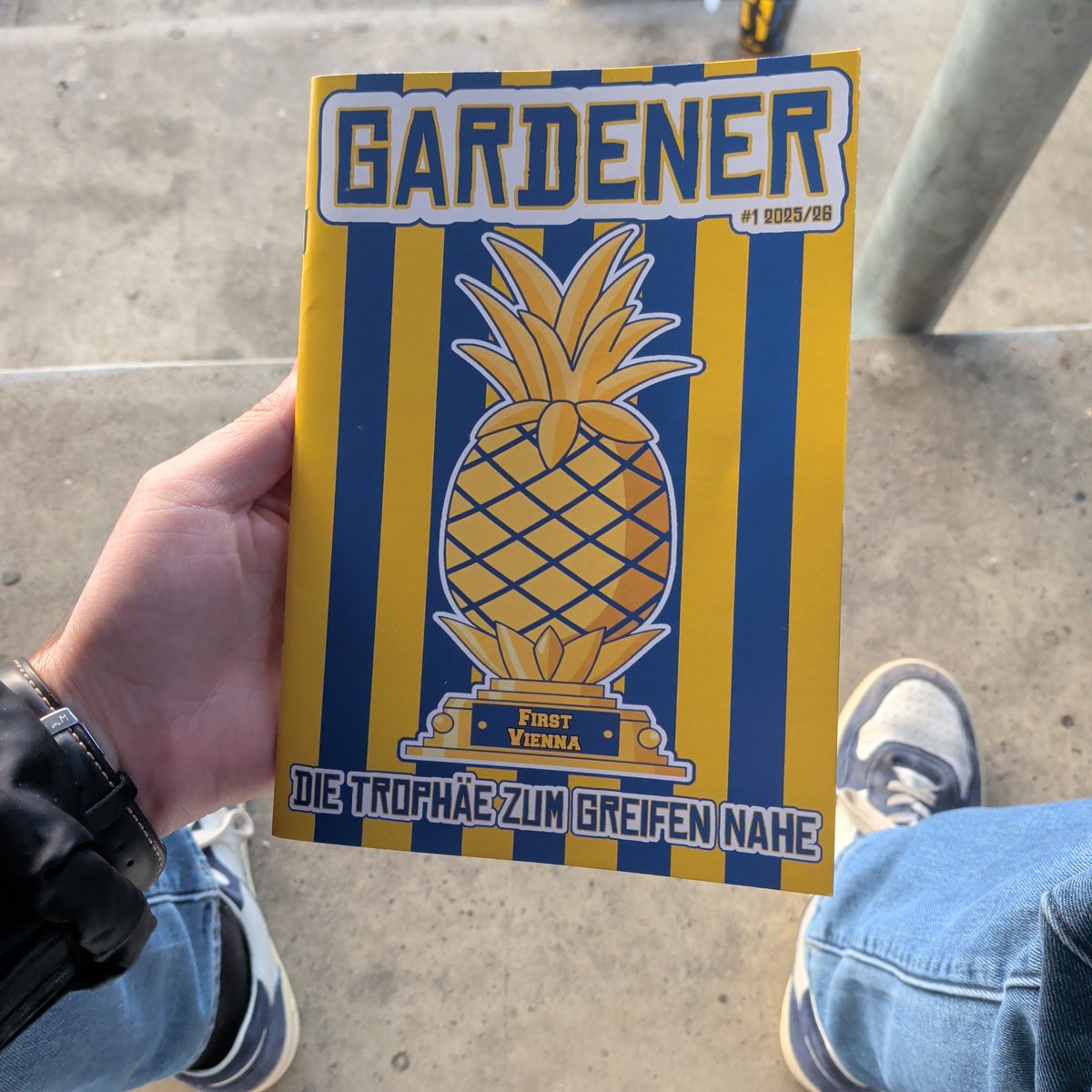 Bär mit Ö 🐻 tweet media