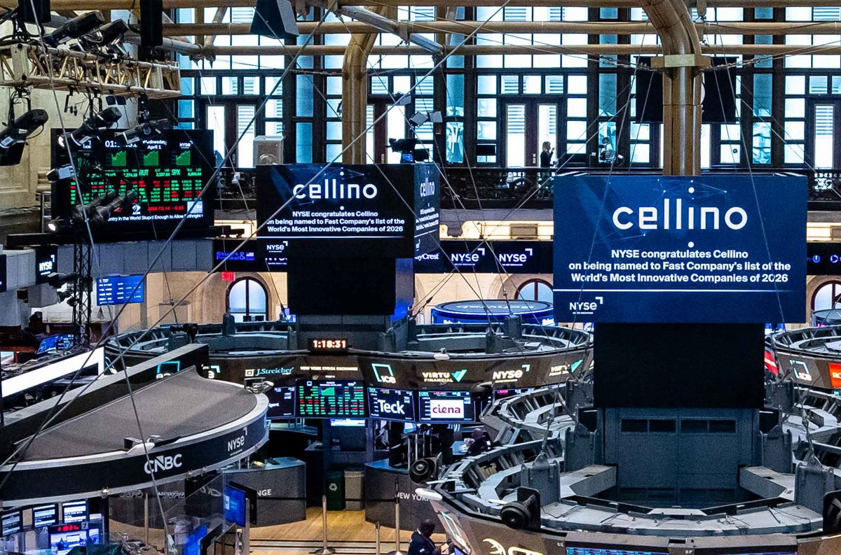 Cellino tweet media