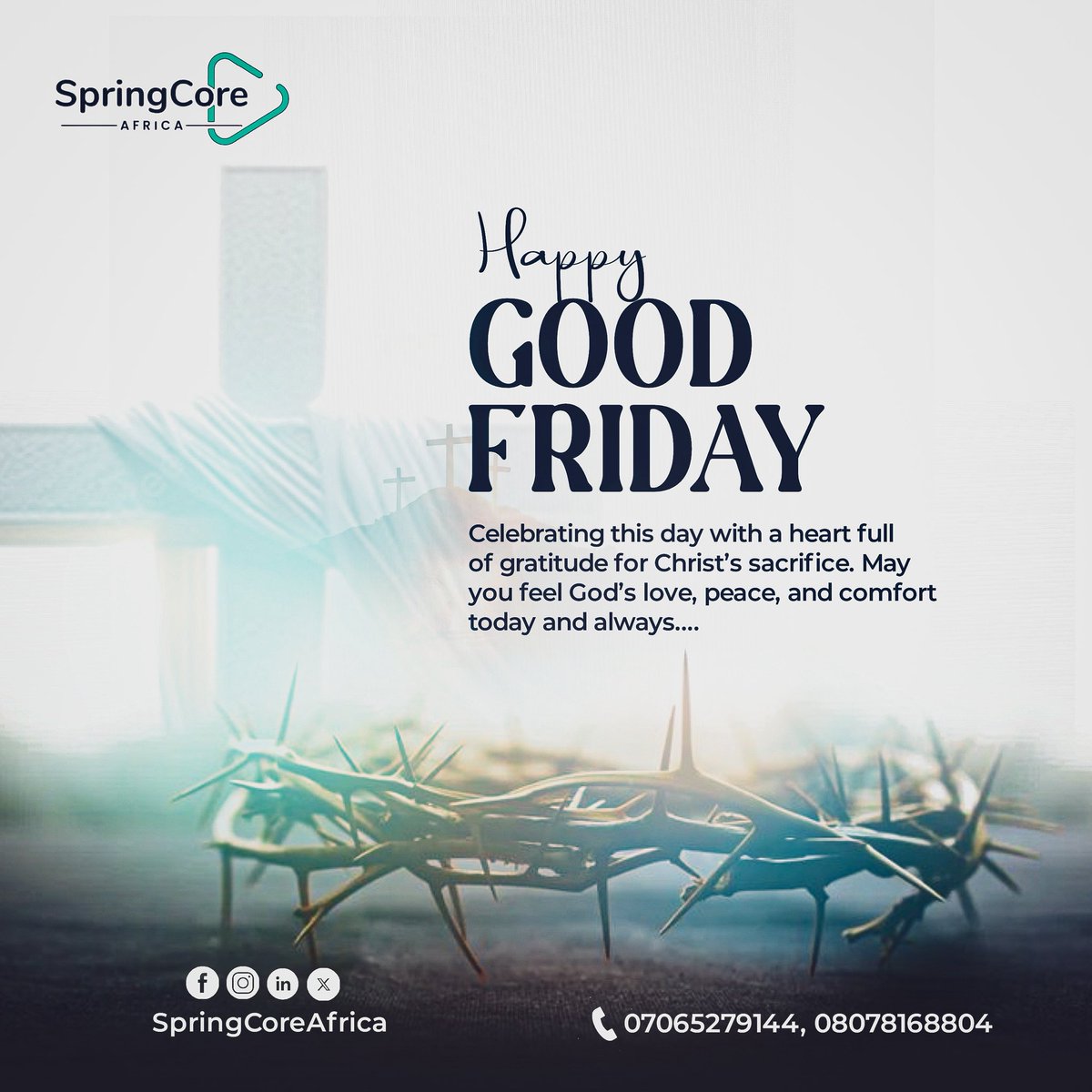 Springcore_Africa tweet media