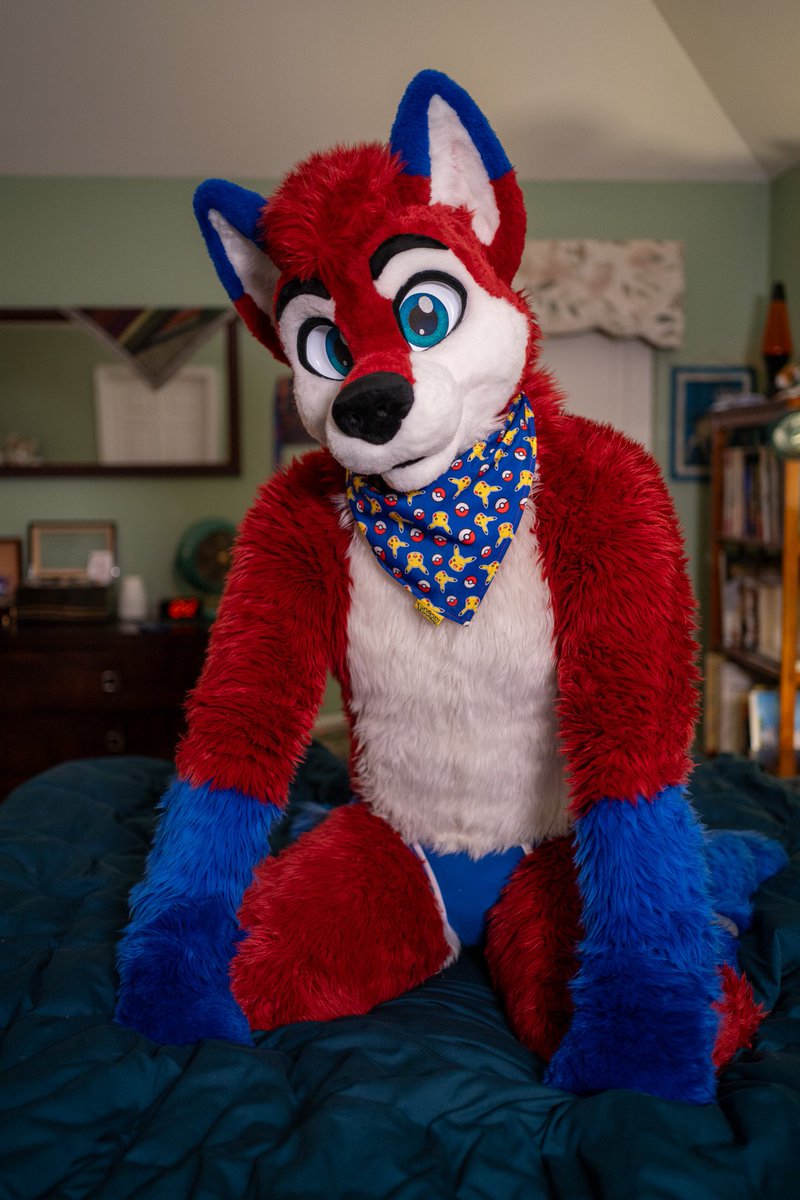 🐾Kojac🐾 tweet media