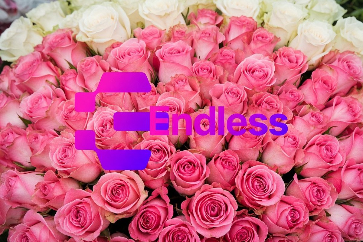 Endless: just a chat
Me after 2 days:
grinding like it’s my second job
<a href="/EndlessProtocol/">Endless𒀭</a> <a href="/NessyNFT_xyz/">Nessy</a>