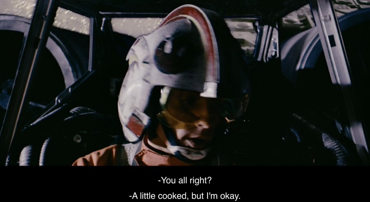 Kelly Knox tweet media