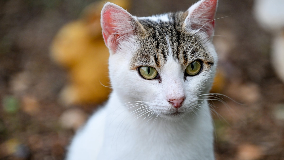 FIT FOR FUN tweet media