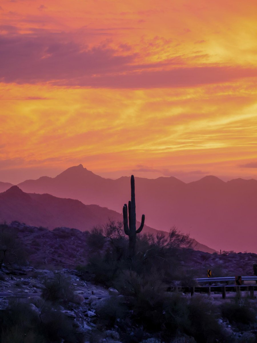 Visit Arizona tweet media