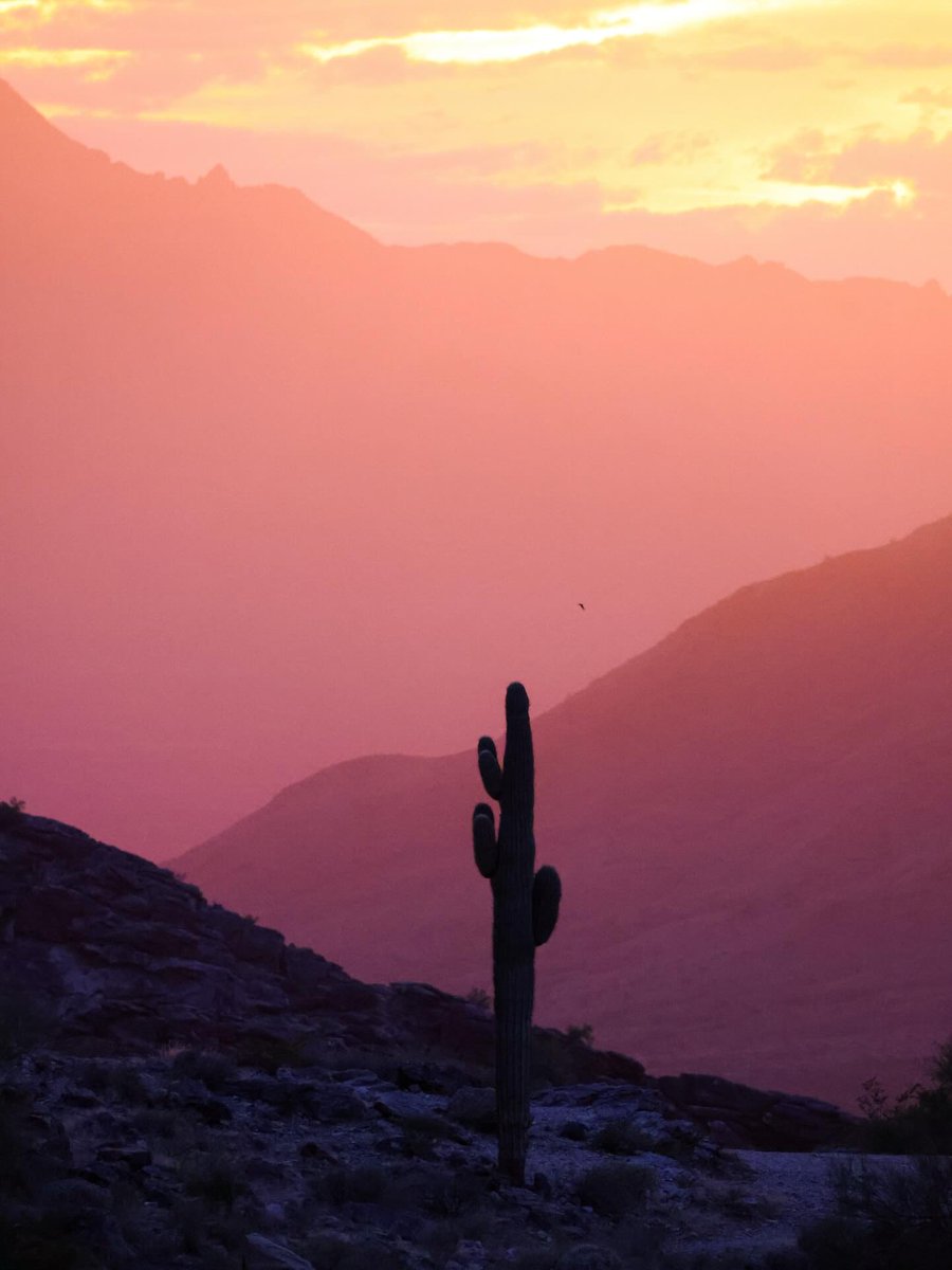 Visit Arizona tweet media