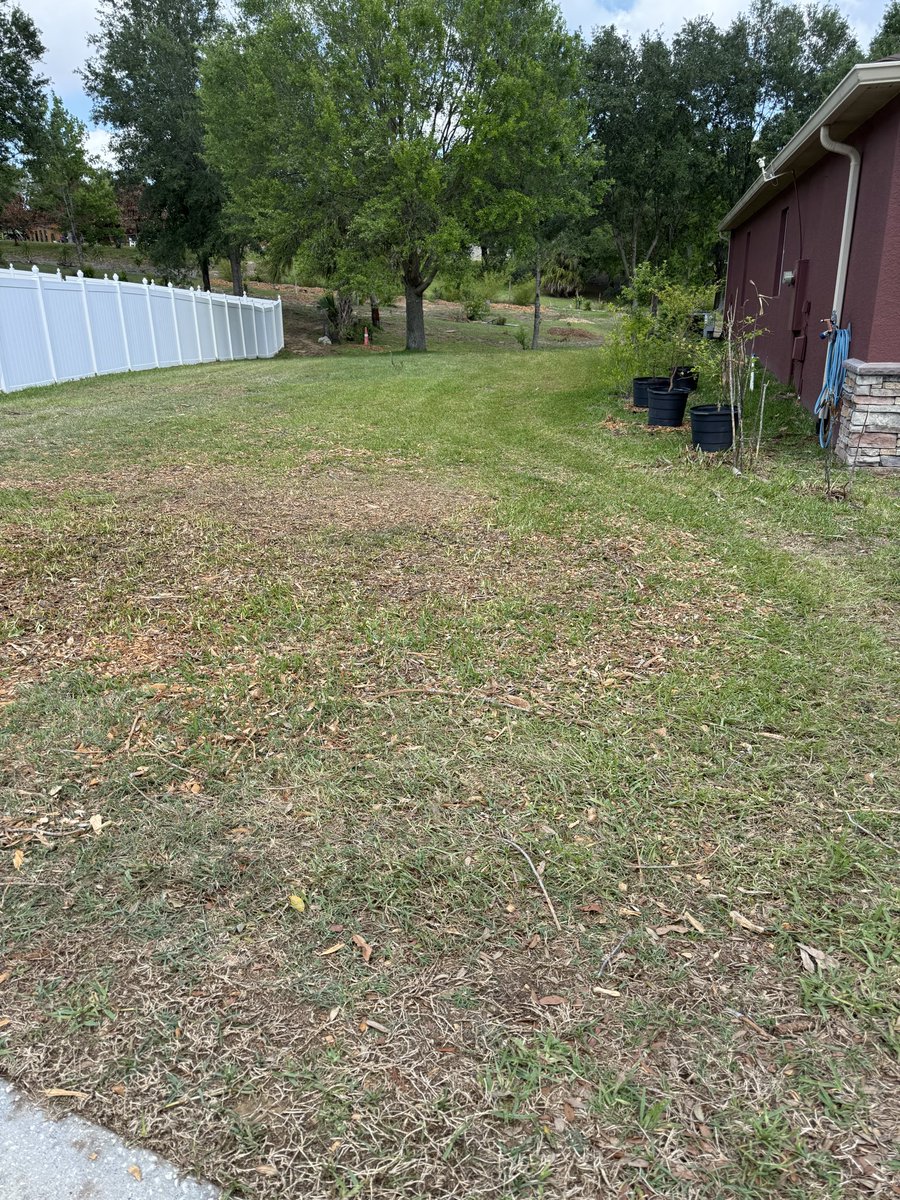 Bill Allen tweet media