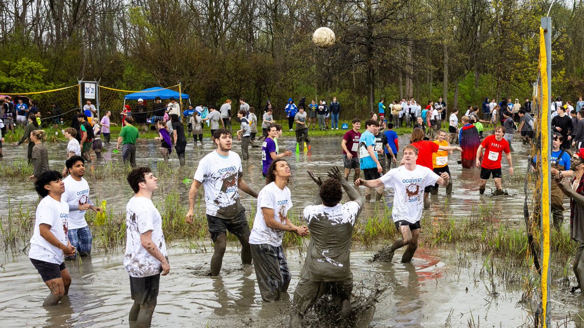 UBuffalo Student Experience tweet media