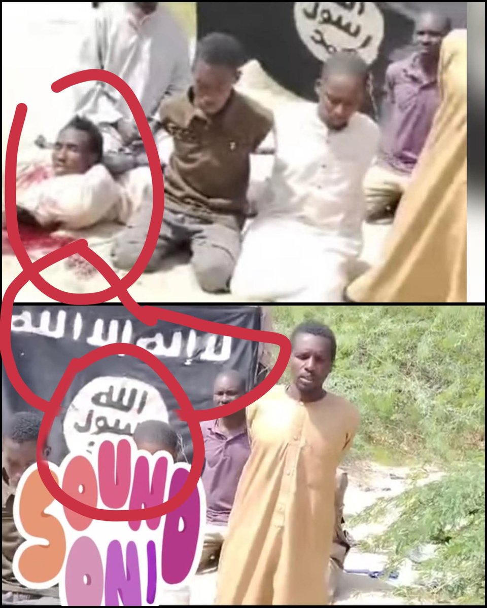 Fednor Viau Fednor tweet media