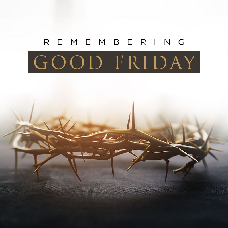 Team Todd tweet media