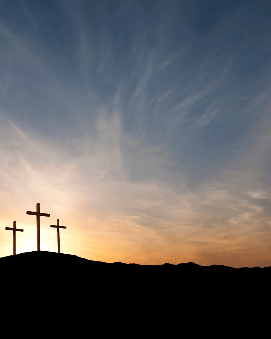 TeksmedServices's tweet photo. Wishing you a peaceful and meaningful Good Friday.

Today is a time to pause, reflect, and appreciate the values that bring us together: compassion and hope.

From all of us at TeksMed, we hope this day brings you moments of rest and reflection. https://t.co/uizUITfjeq