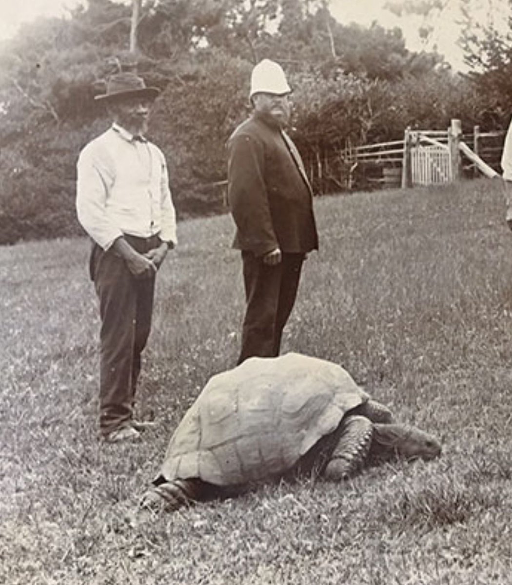 The world's oldest tortoise has gone viral after a suspected crypto scammer posing as his vet falsely announced his death

Jonathan is currently 193 years old