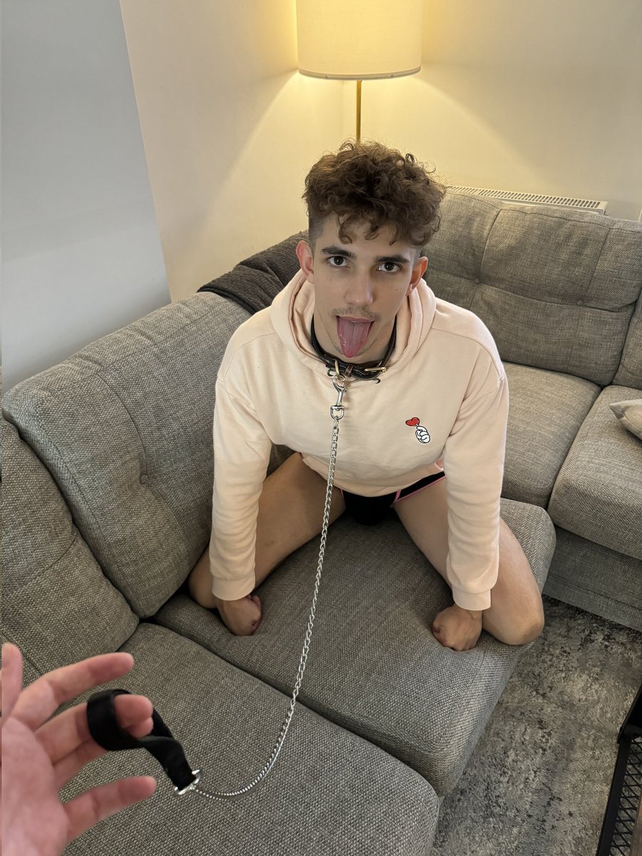 nikki sbfh tweet media