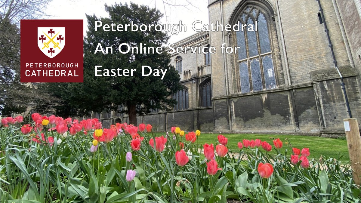 Peterborough Cathedral tweet media