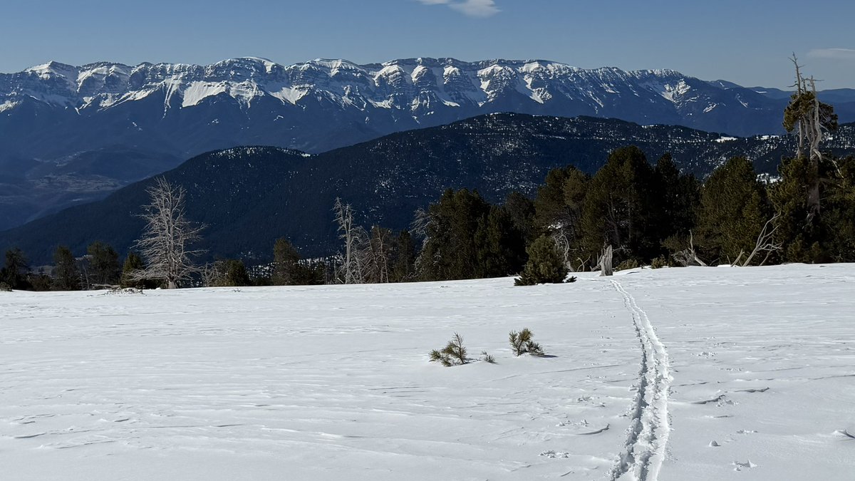 Jaume Jubert Ferré tweet media