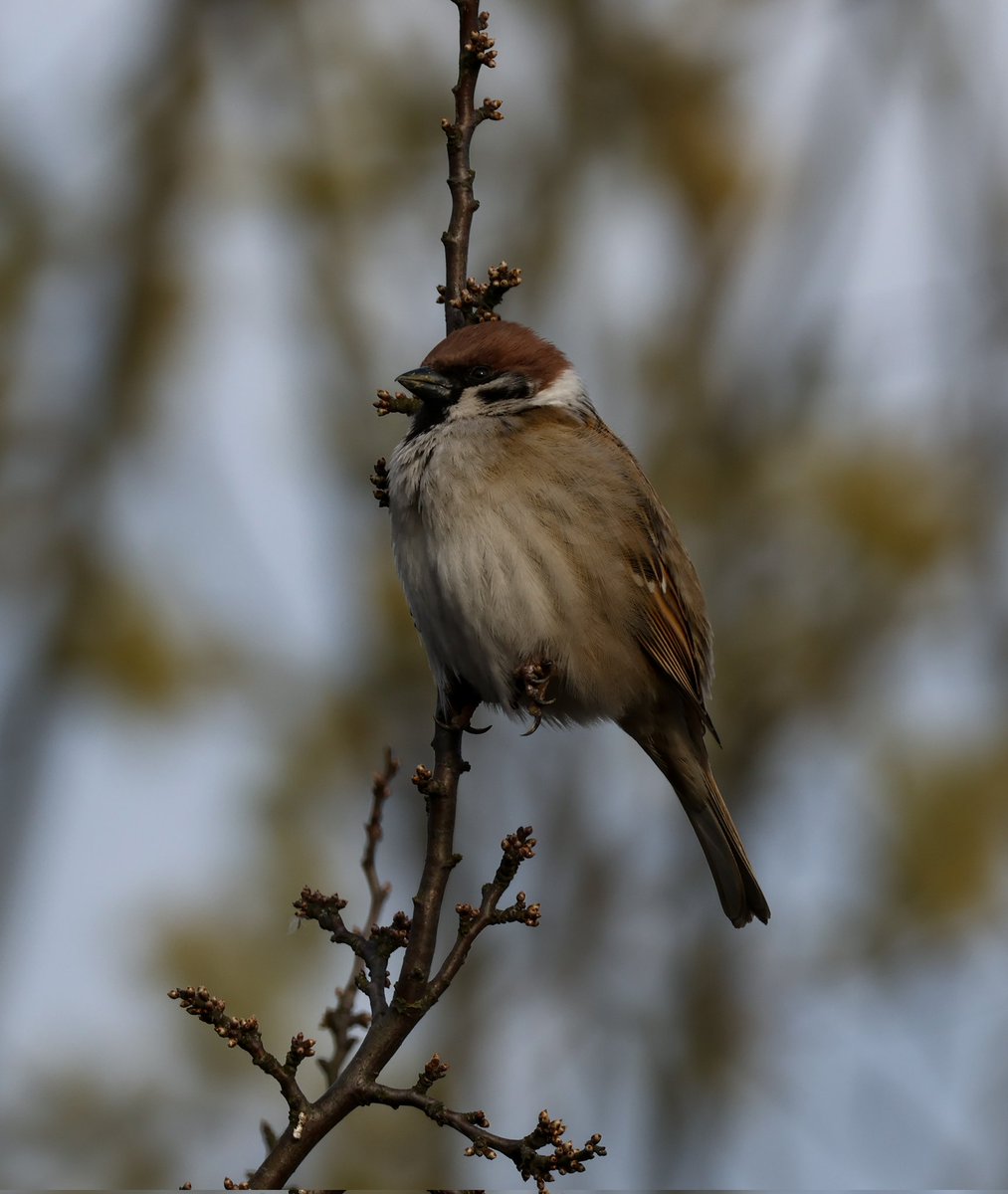 Magda Grzybiara tweet media
