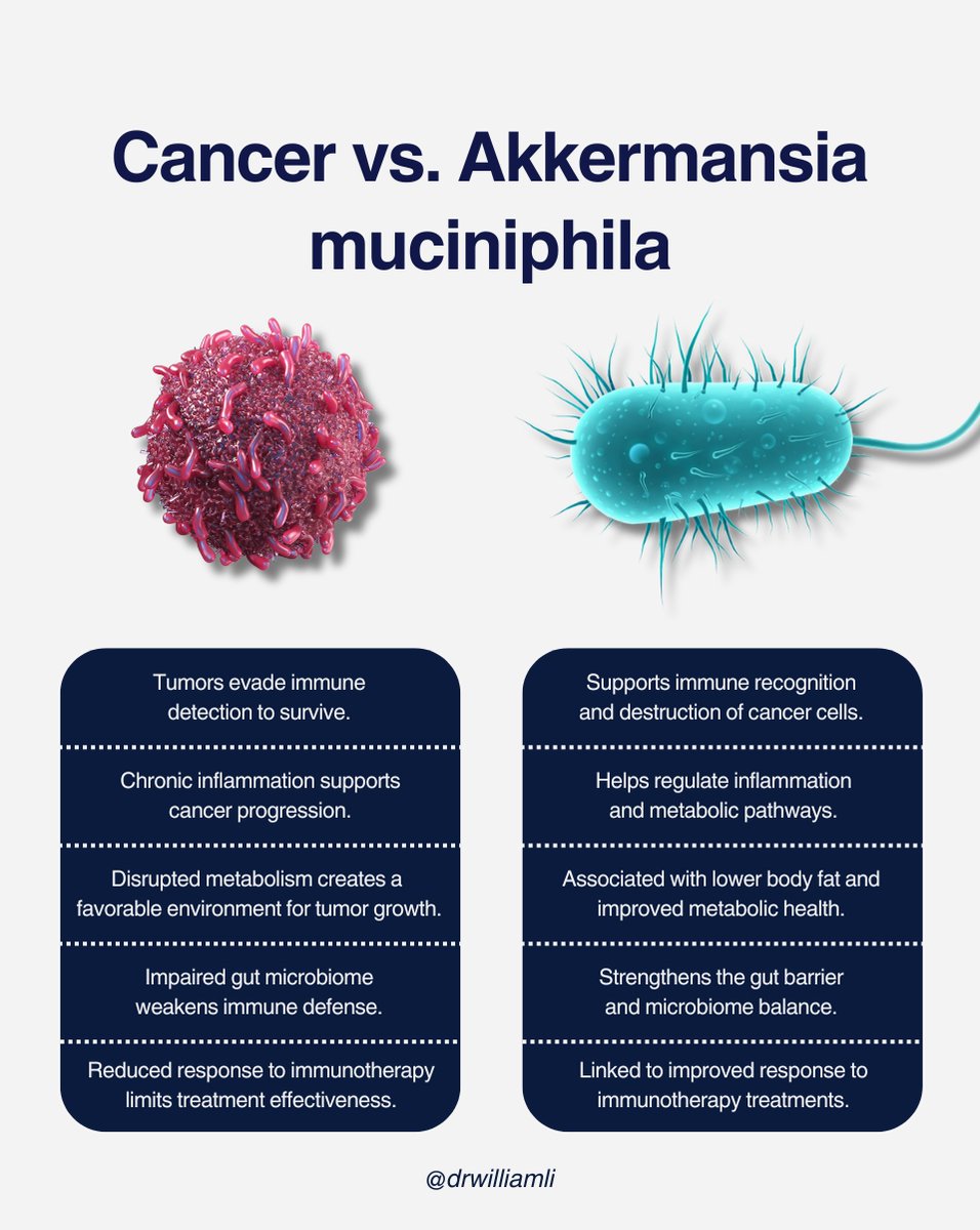 drwilliamli's tweet image. 🦠 Among the trillions of bacteria in your body, one stands out: Akkermansia muciniphila. This bacterium plays a key role in metabolism, body composition, and immune function.

Follow for more. 

#FoodAsMedicine #GutHealth #Microbiome #CancerResearch