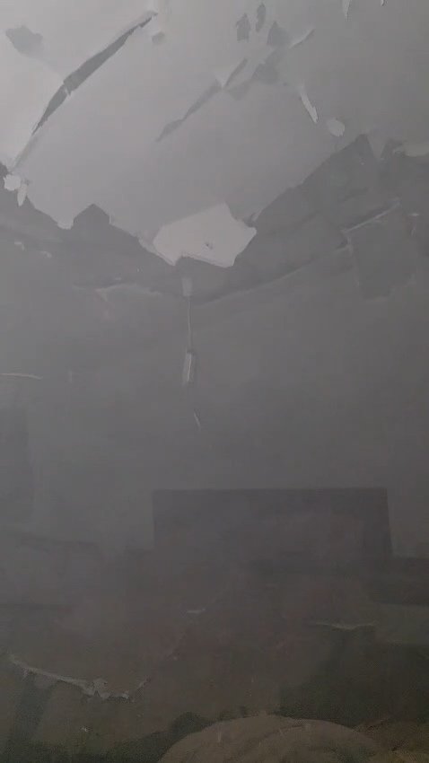 Rubi Hammerschlag | רובי המרשלג tweet media