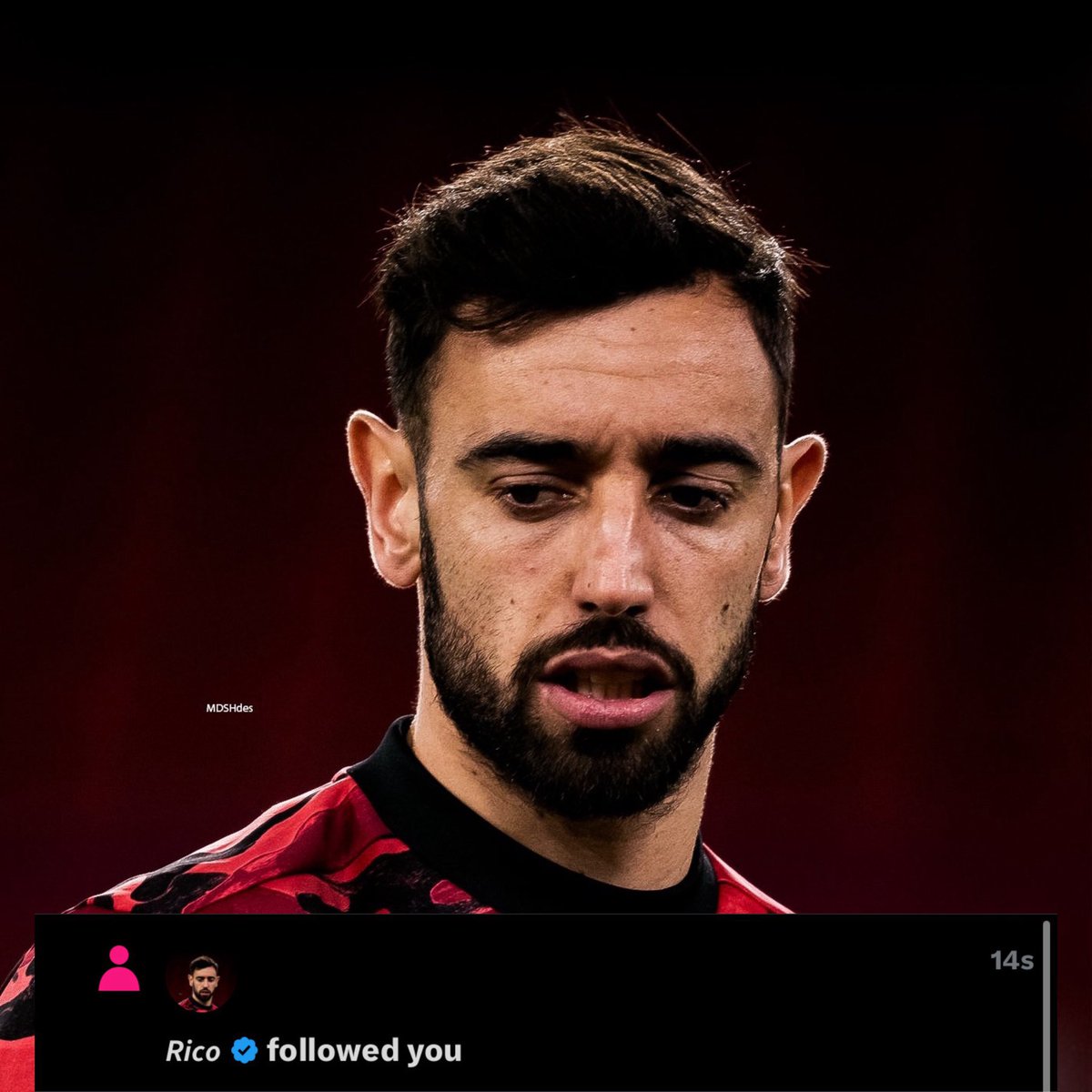 𝙍𝙞𝙘𝙤 tweet media