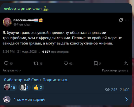 плесень-чан🏳️‍⚧️👑 tweet media