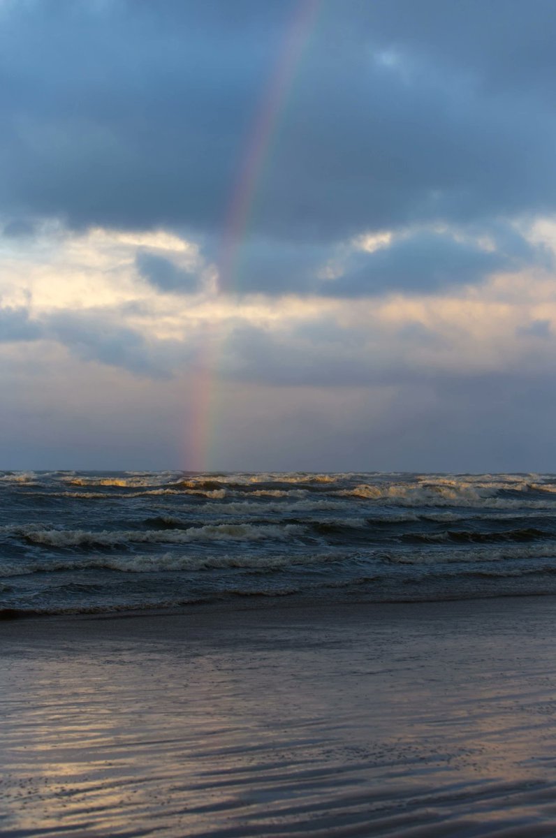 Jacques-Yves Cousteau tweet media