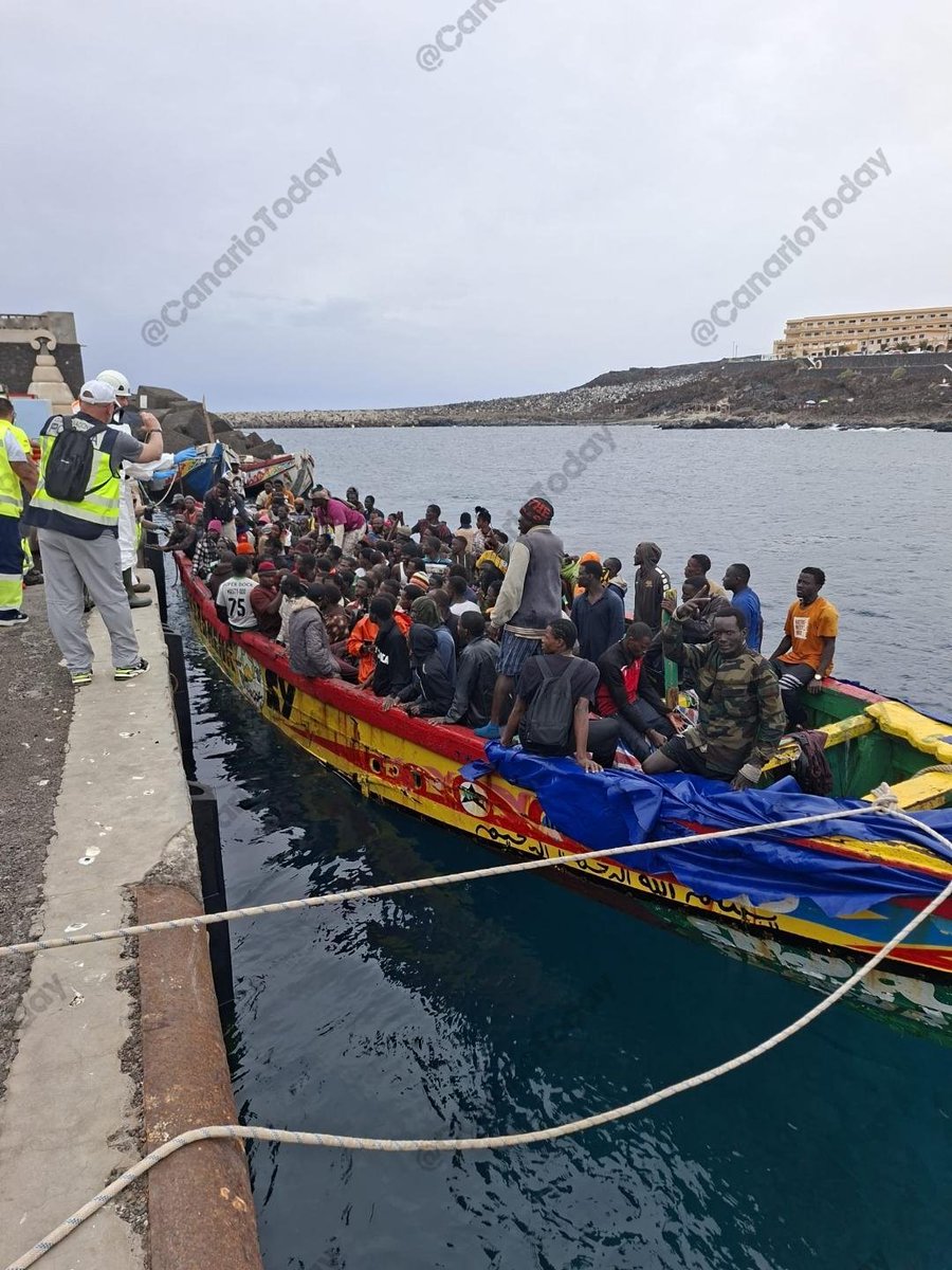 Canario Today tweet media