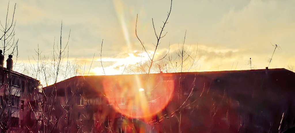 なみ☆ tweet media