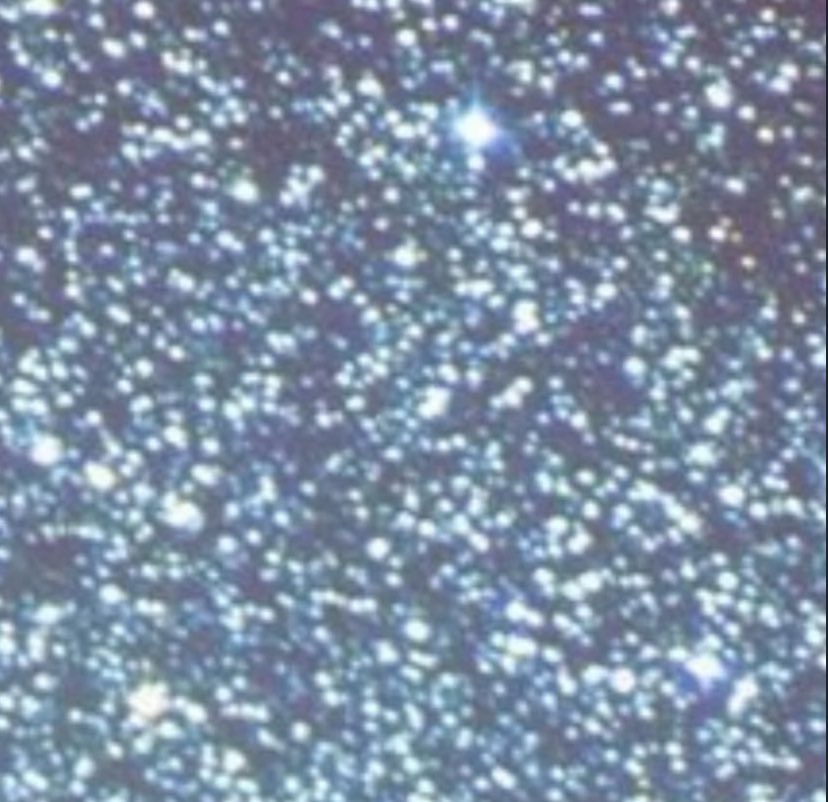 Karol G Brasil tweet media