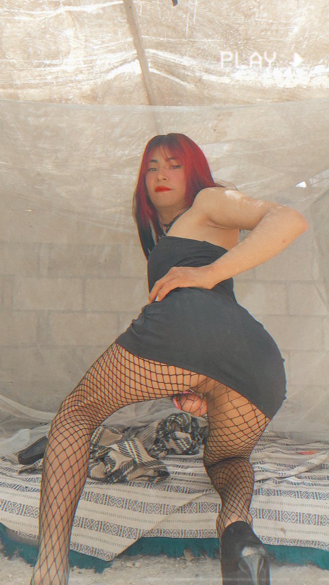 Estefany🏳️‍⚧️ tweet media