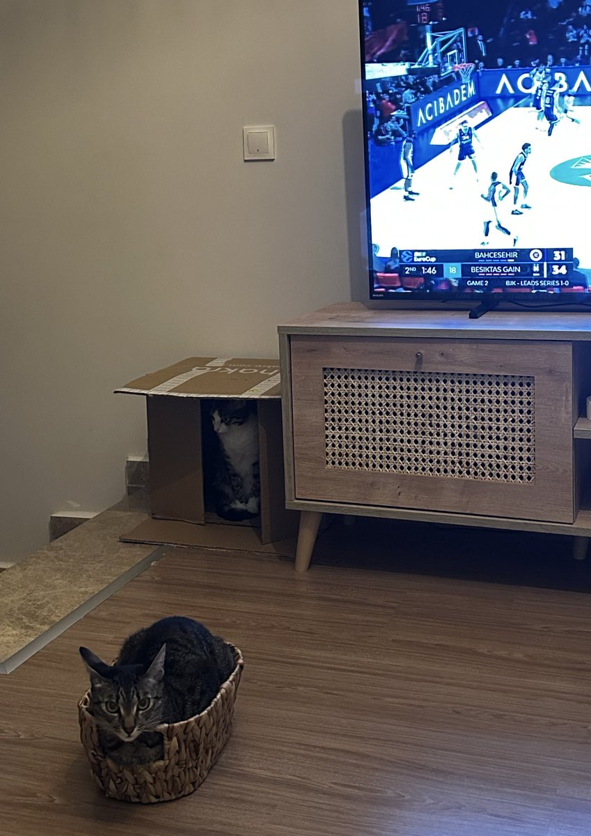 Fridayland tweet media