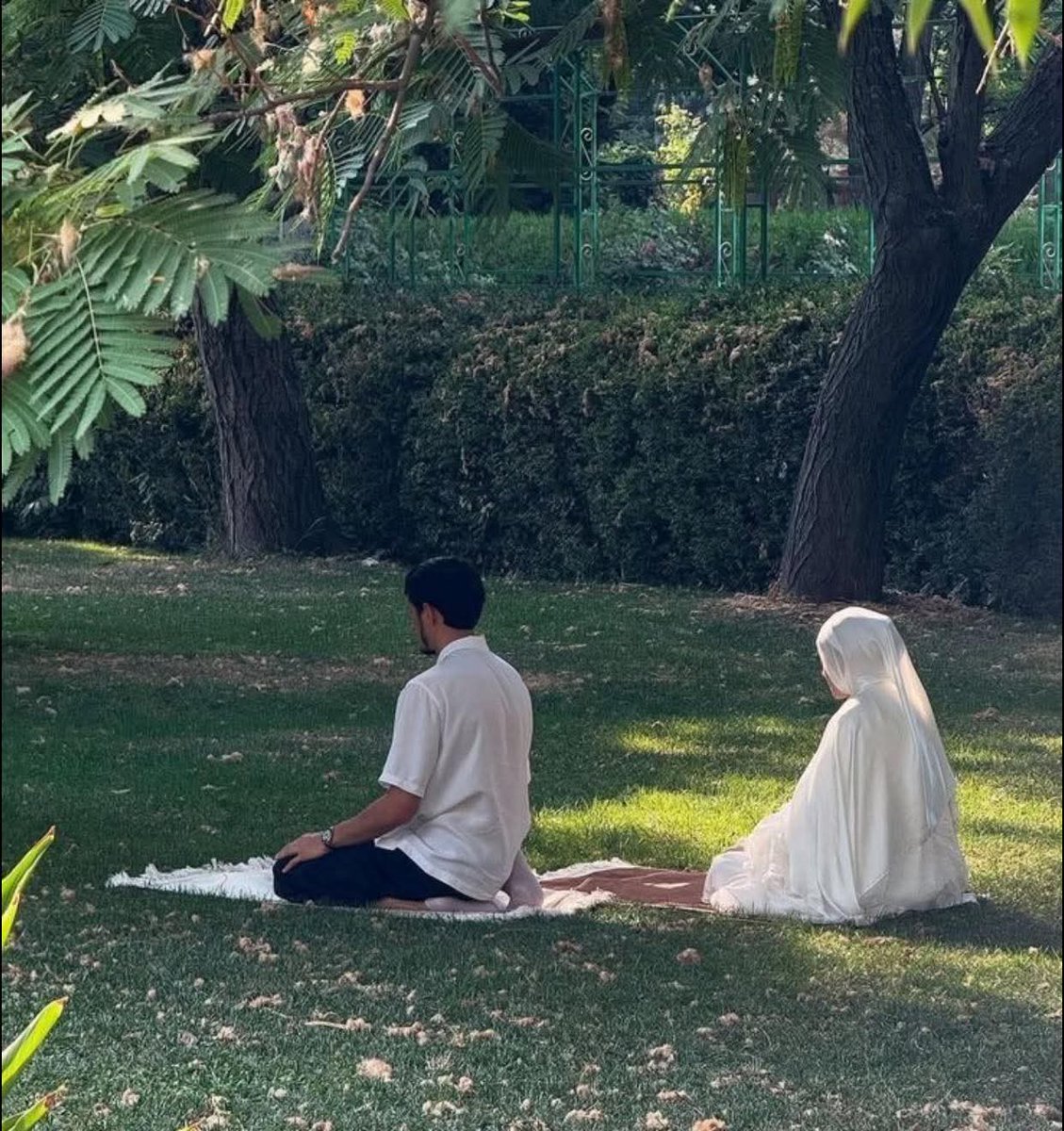 Mariam • tweet media