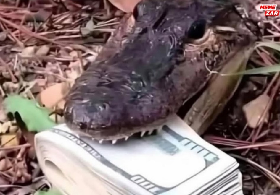 Pukerainbow 🤮🌈 tweet media