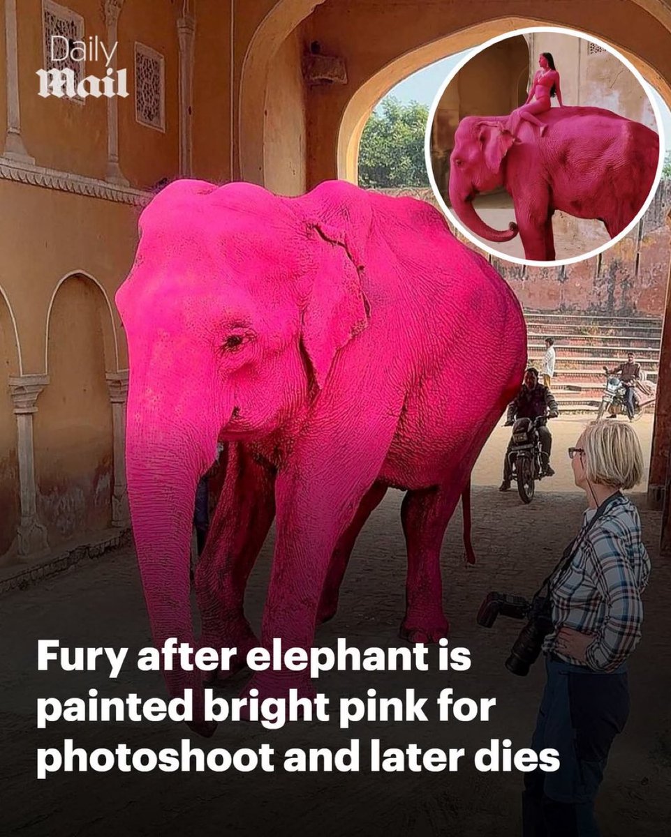 Benonwine tweet media