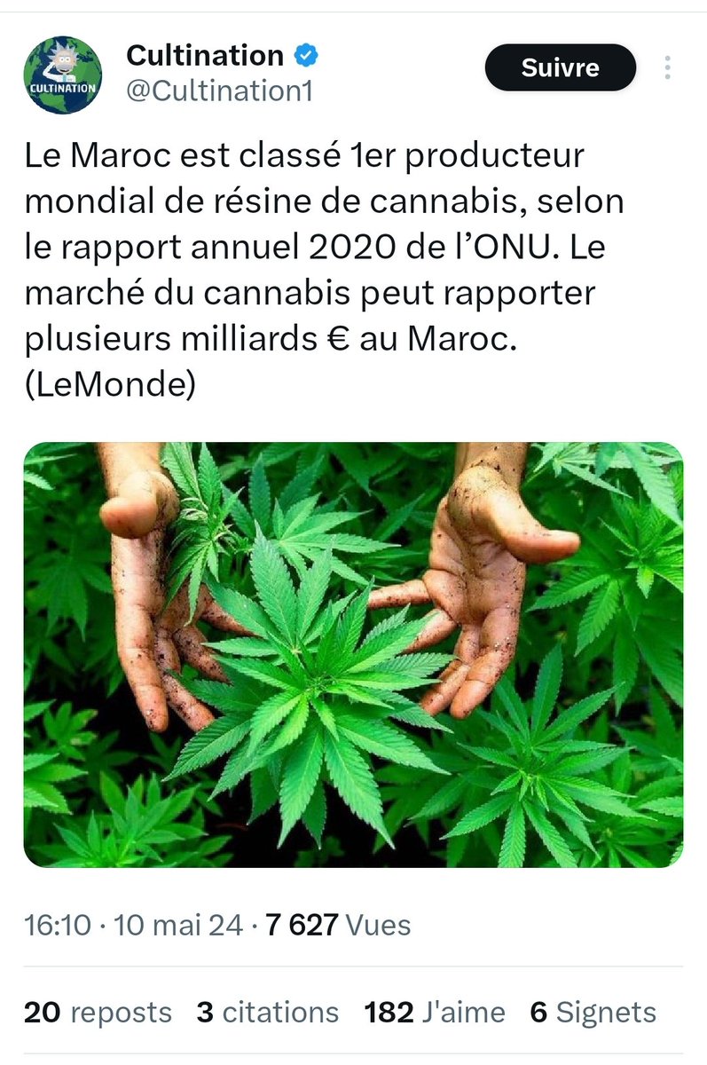 StanSmiR 🇩🇿🆓🇵🇸 tweet media