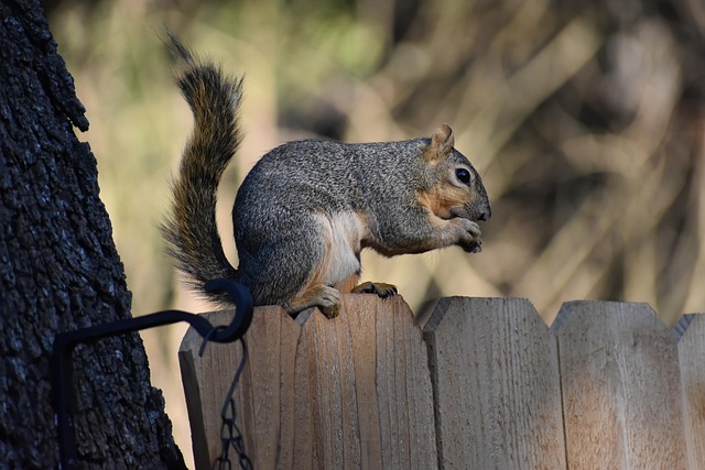 William Campbell tweet media