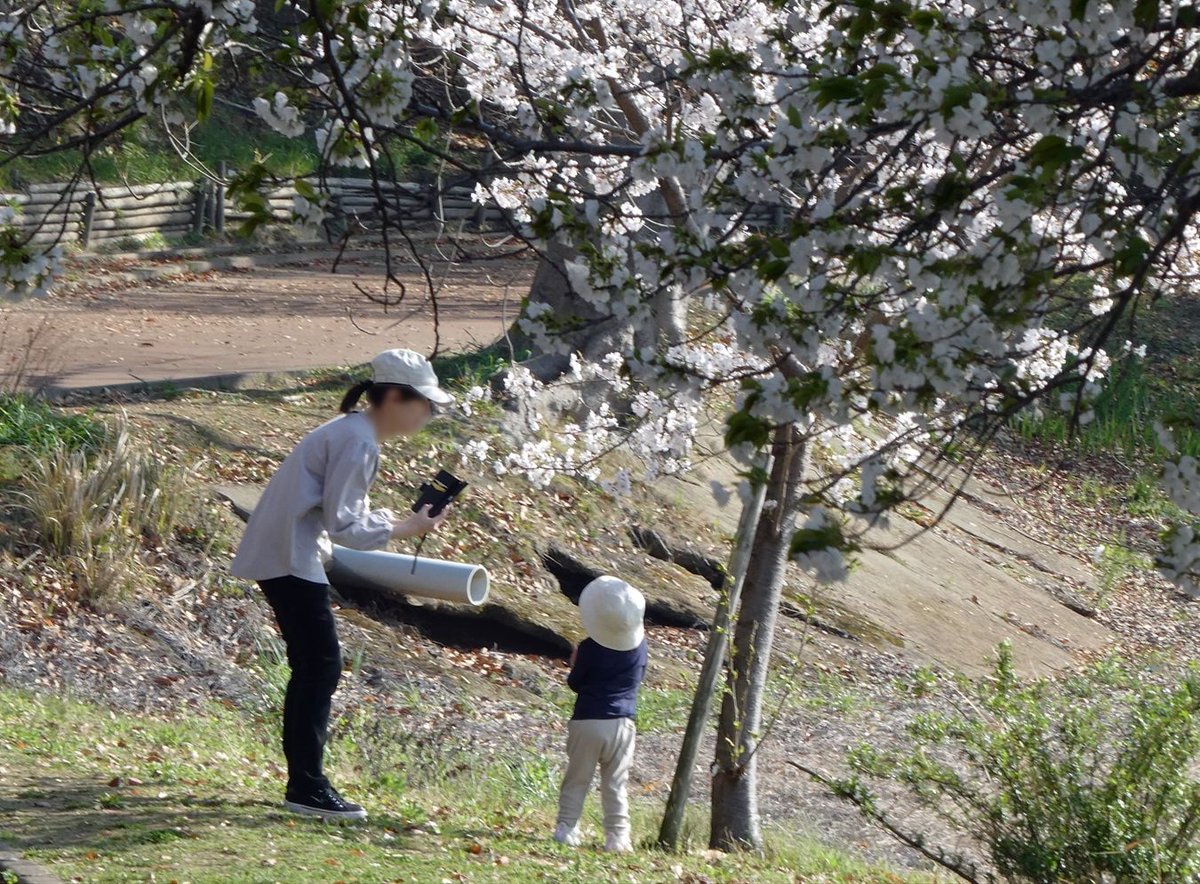 潤一朗🐾猫にシュシュ❁ tweet media