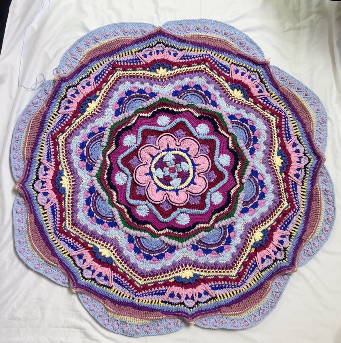 آمنة tweet media